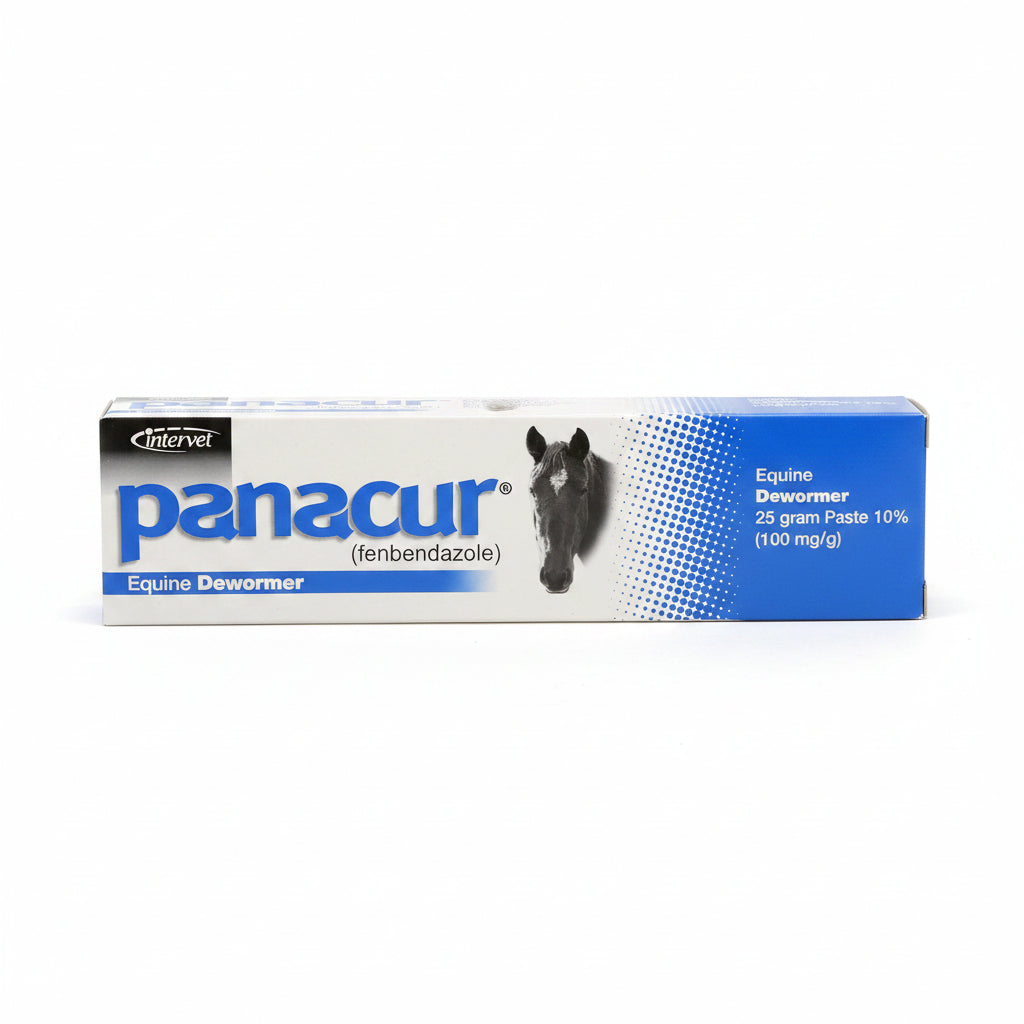 Panacur Fenbendazole Equine Dewormer Paste | 25g Single Syringe