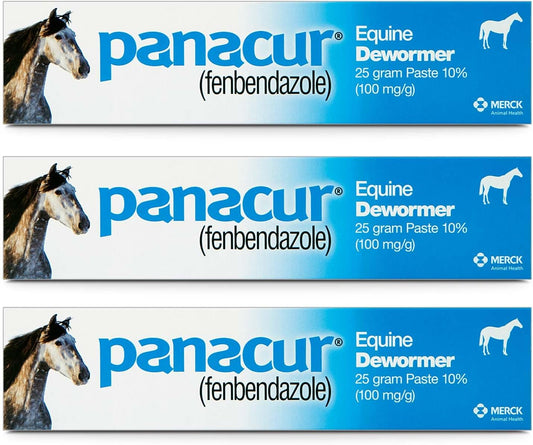 Panacur Fenbendazole Equine Dewormer Paste | 3-Pack | 25g